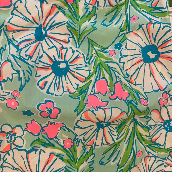 NWTs Lilly Pulitzer Delia Dress, size 6 - Picture 4 of 9